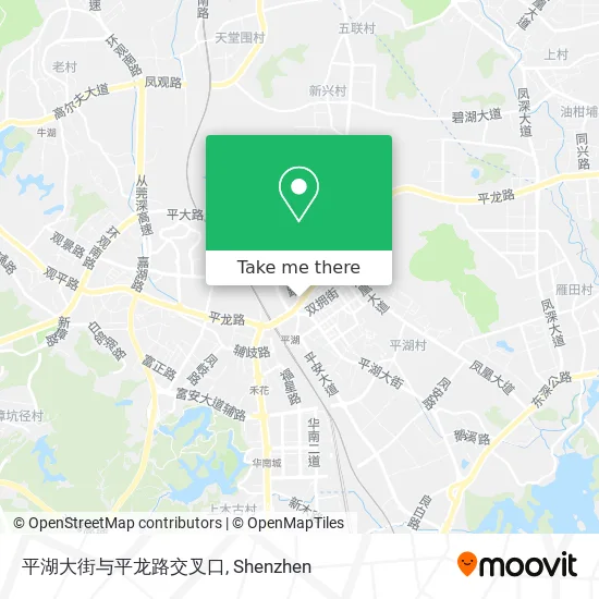 平湖大街与平龙路交叉口 map