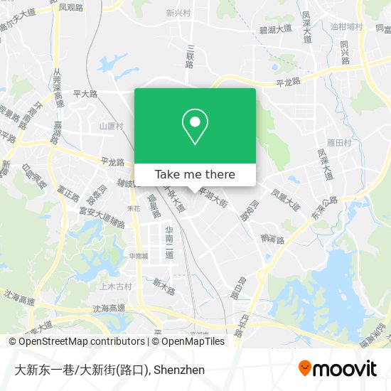 大新东一巷/大新街(路口) map