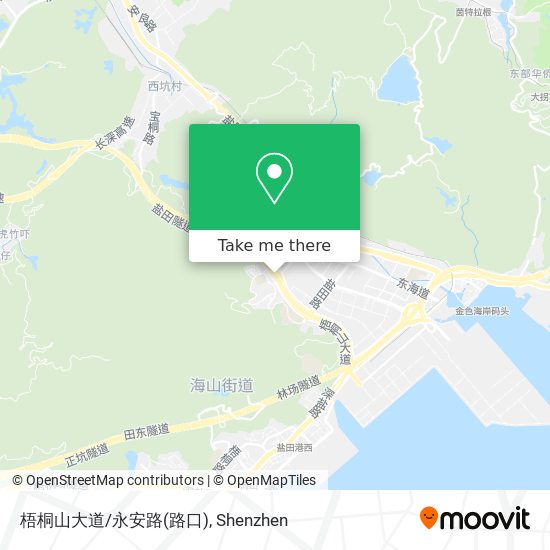 梧桐山大道/永安路(路口) map