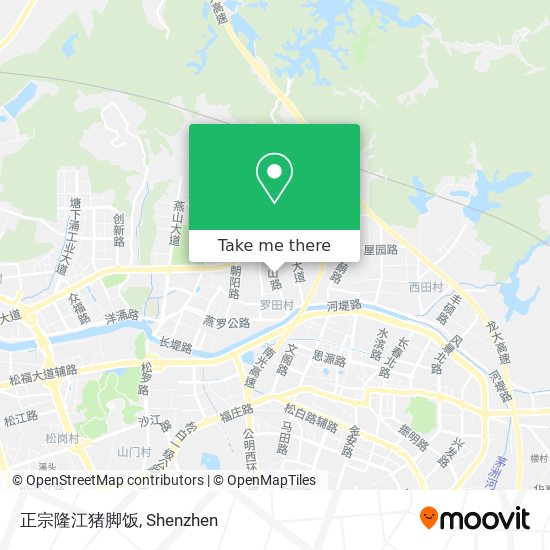 正宗隆江猪脚饭 map