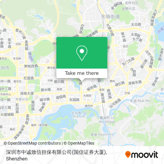 深圳市中诚致信担保有限公司(国信证券大厦) map