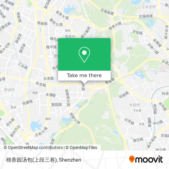 桃香园汤包(上段三巷) map