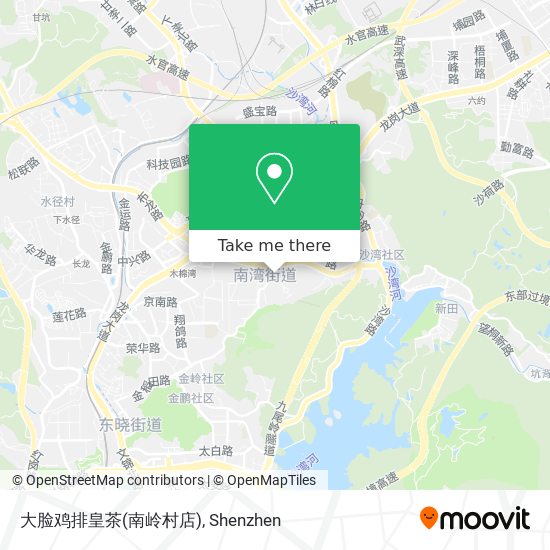 大脸鸡排皇茶(南岭村店) map