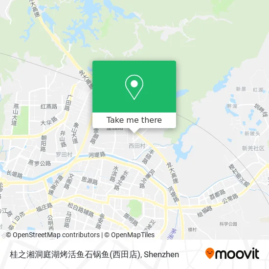 桂之湘洞庭湖烤活鱼石锅鱼(西田店) map