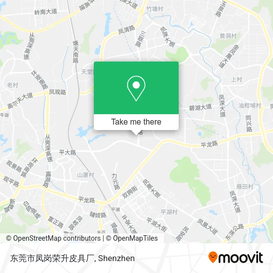 东莞市凤岗荣升皮具厂 map