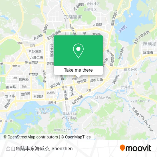 金山角陆丰东海咸茶 map