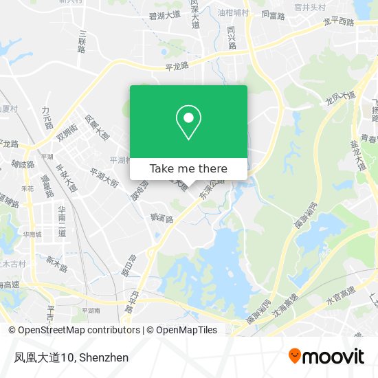 凤凰大道10 map