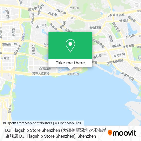 DJI Flagship Store Shenzhen map