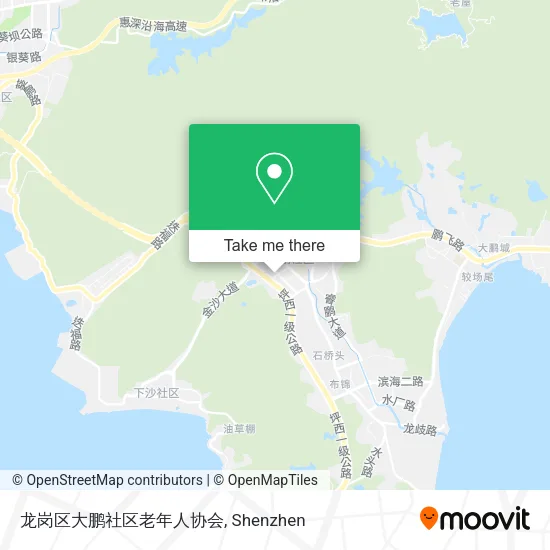 龙岗区大鹏社区老年人协会 map