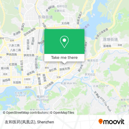 友和医药(凤凰店) map