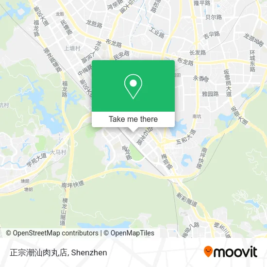 正宗潮汕肉丸店 map