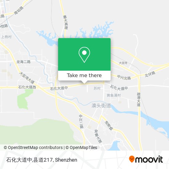 石化大道中,县道217 map