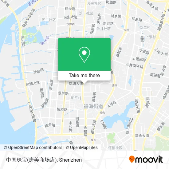 中国珠宝(唐美商场店) map