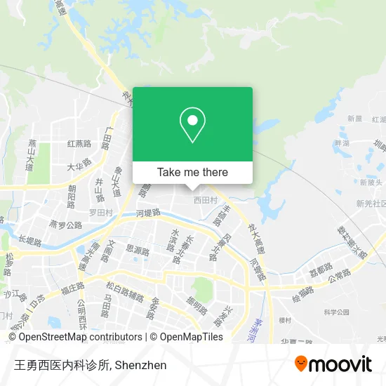王勇西医内科诊所 map