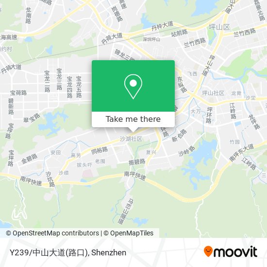 Y239/中山大道(路口) map