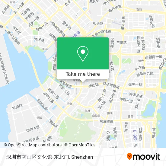深圳市南山区文化馆-东北门 map