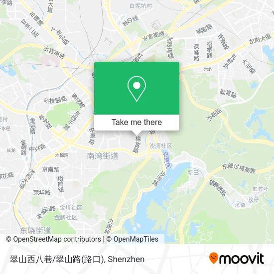 翠山西八巷/翠山路(路口) map