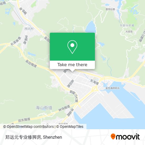 郑远元专业修脚房 map