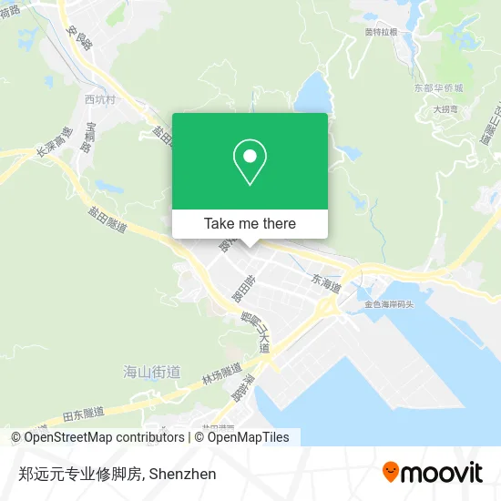 郑远元专业修脚房 map