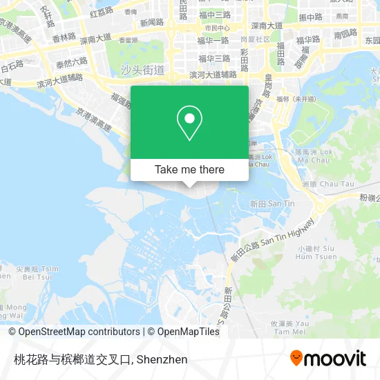 桃花路与槟榔道交叉口 map