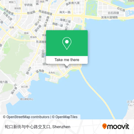 蛇口新街与中心路交叉口 map