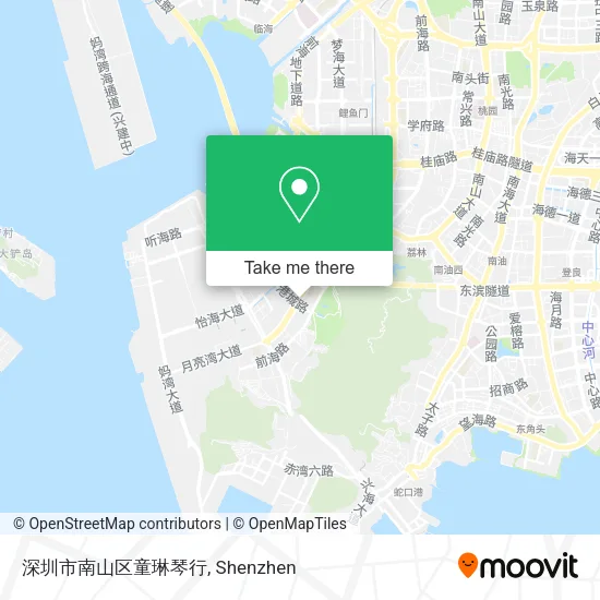 深圳市南山区童琳琴行 map