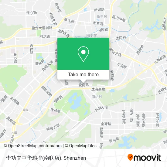 李功夫中华鸡排(南联店) map