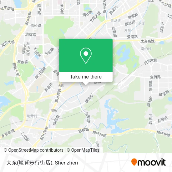 大东(嶂背步行街店) map