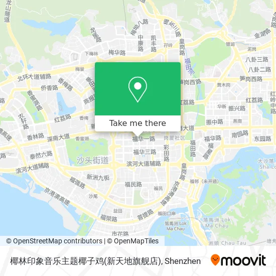 椰林印象音乐主题椰子鸡(新天地旗舰店) map