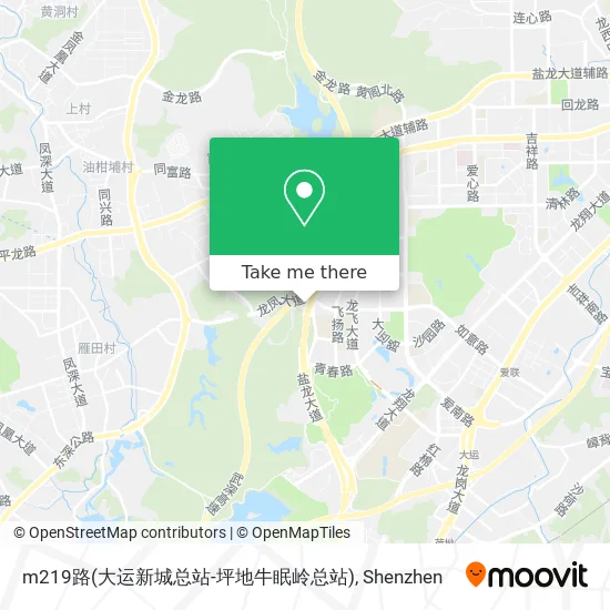 m219路(大运新城总站-坪地牛眠岭总站) map