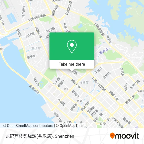 龙记荔枝柴烧鸡(共乐店) map