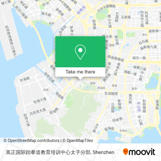 嵩正国际跆拳道教育培训中心太子分部 map