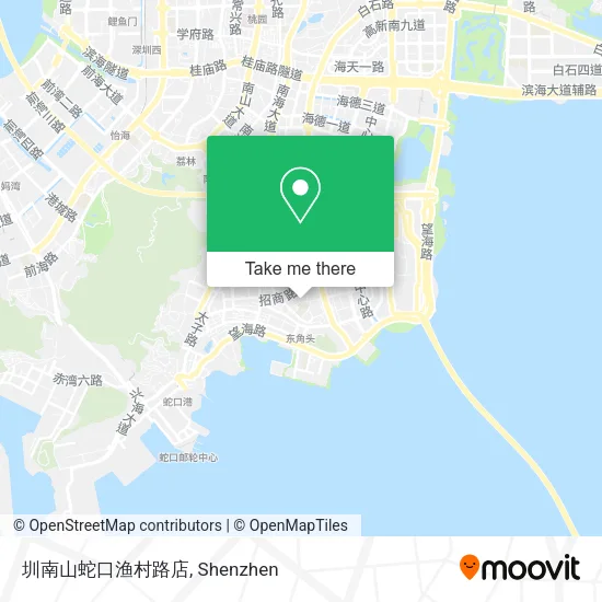 圳南山蛇口渔村路店 map