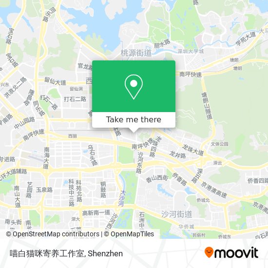 喵白猫咪寄养工作室 map