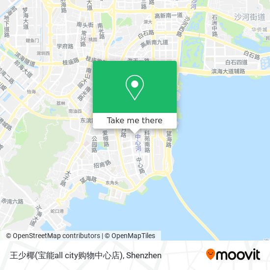 王少椰(宝能all city购物中心店) map