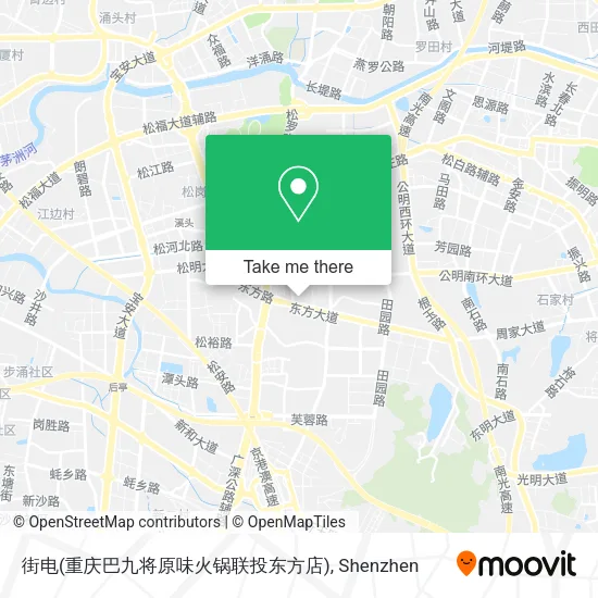 街电(重庆巴九将原味火锅联投东方店) map