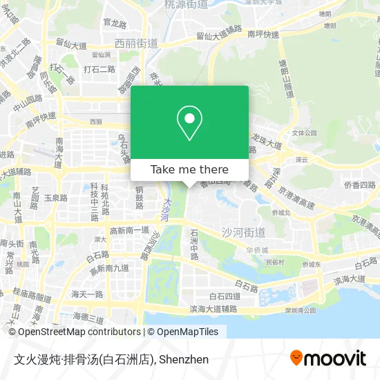 文火漫炖·排骨汤(白石洲店) map