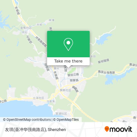 友琪(葵冲华强南路店) map