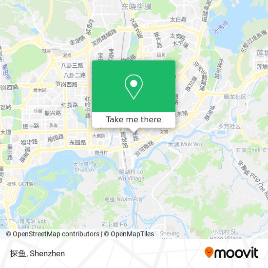 探鱼 map