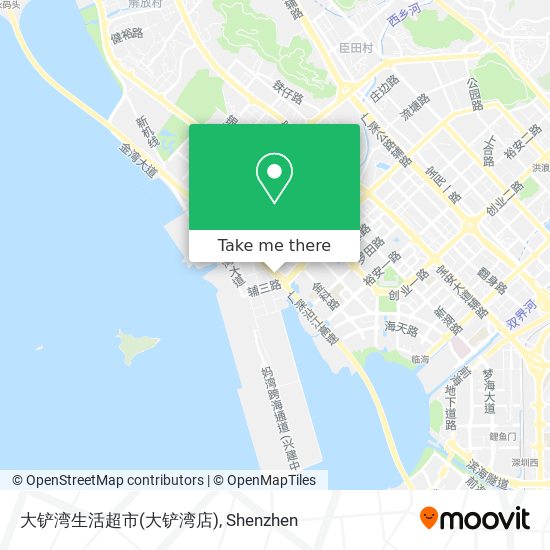 大铲湾生活超市(大铲湾店) map