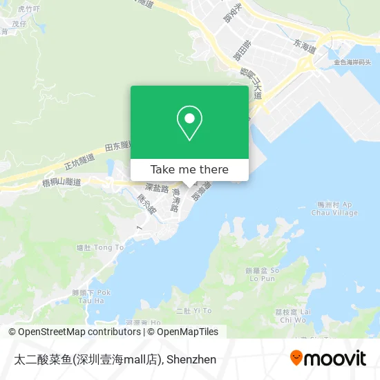 太二酸菜鱼(深圳壹海mall店) map