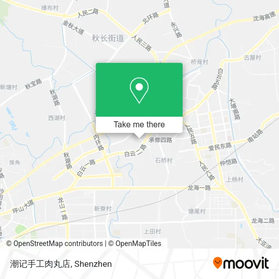 潮记手工肉丸店 map