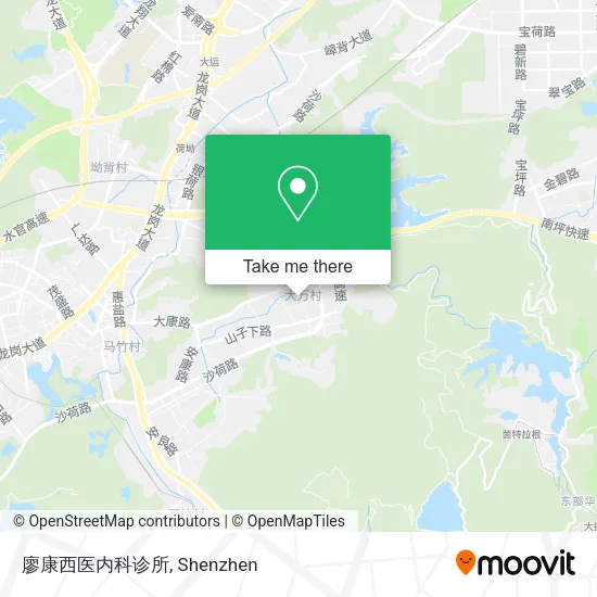 廖康西医内科诊所 map