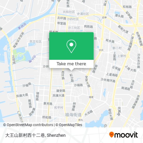 大王山新村西十二巷 map