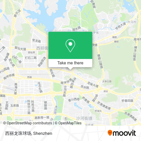 西丽龙珠球场 map