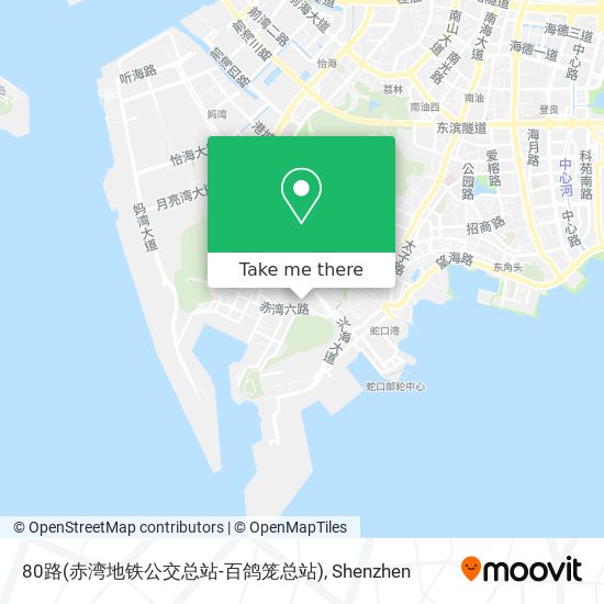 80路(赤湾地铁公交总站-百鸽笼总站) map