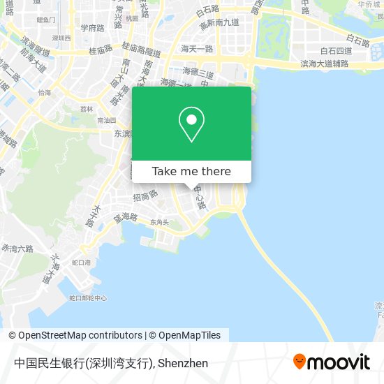 中国民生银行(深圳湾支行) map
