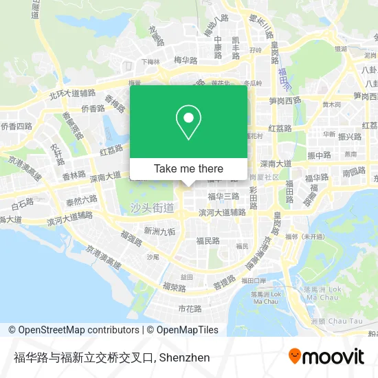 福华路与福新立交桥交叉口 map