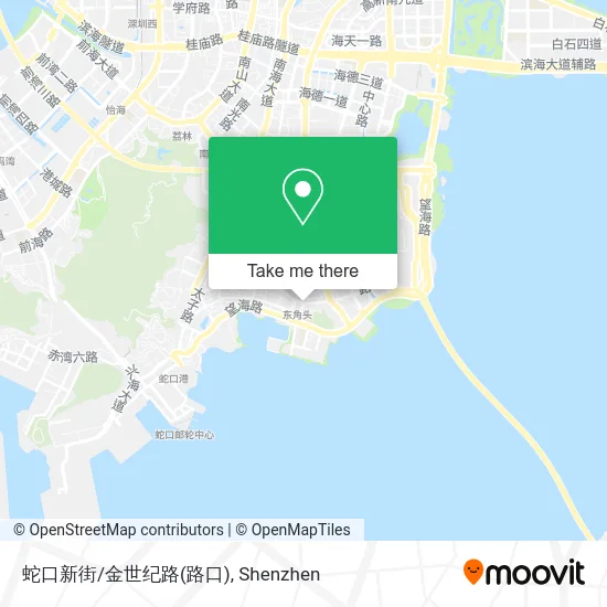 蛇口新街/金世纪路(路口) map