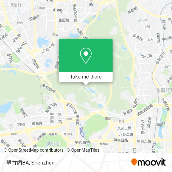 翠竹阁BA map